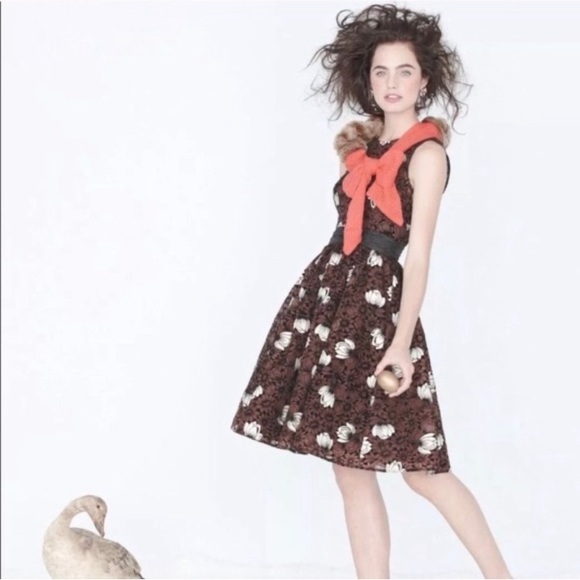 Chrysanthemum Anthropologie Fit & Flare Dress - Picture 3 of 10